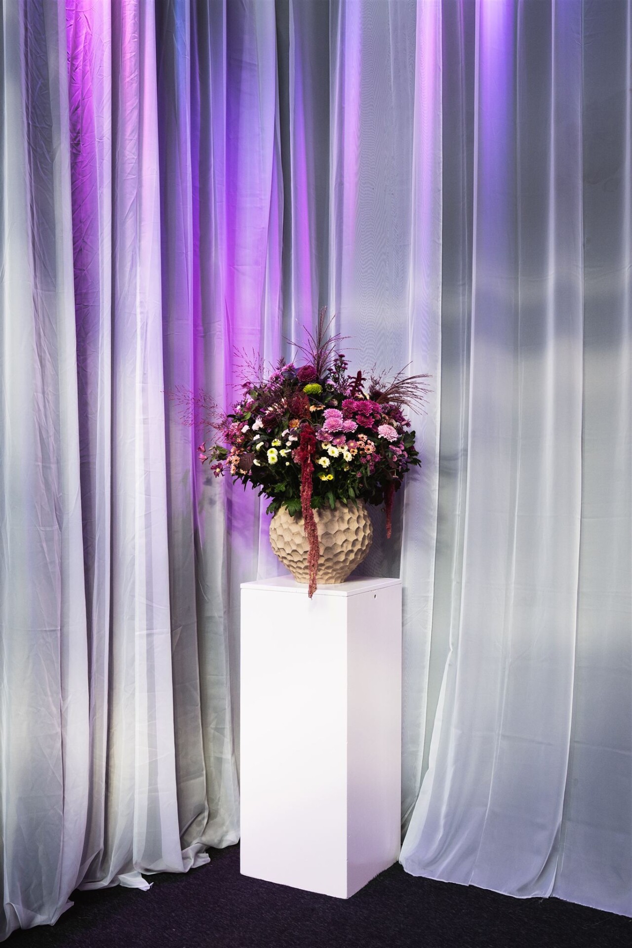 (Club)Zentoo   18 jaar 17 websize