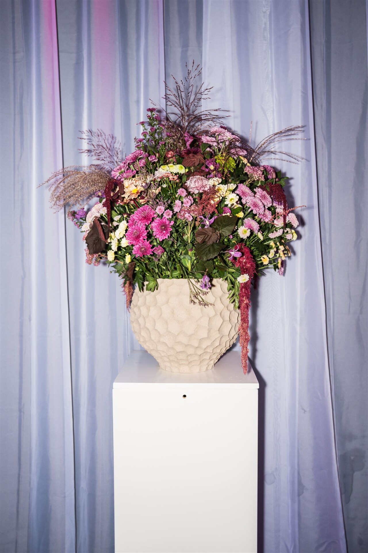 (Club)Zentoo   18 jaar 347 websize